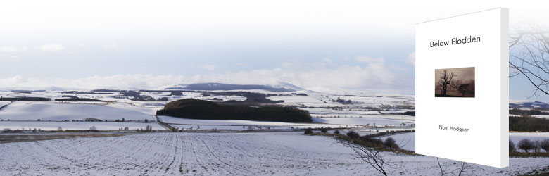 hodgeweb landscape